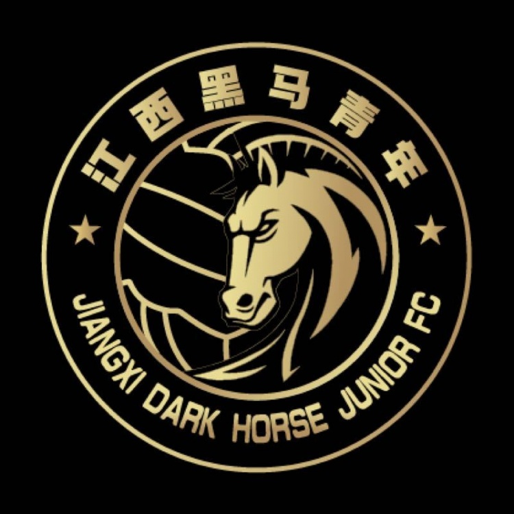  官方：江西黑馬青年完成異地遷移程序，更名為溫州職業(yè)足球俱樂部